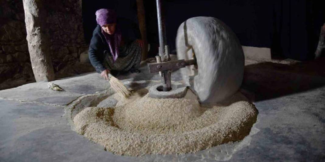 Ektikleri çeltikler asırlık değirmende işleniyor! Hizan’da doğal pirinç üretimi 4